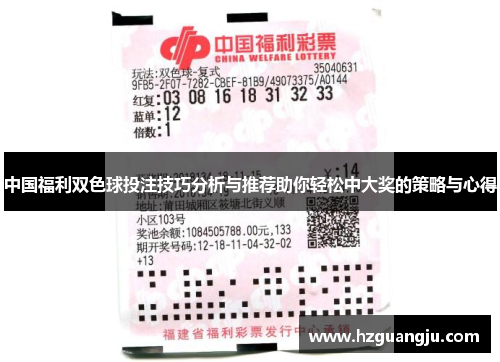 中国福利双色球投注技巧分析与推荐助你轻松中大奖的策略与心得