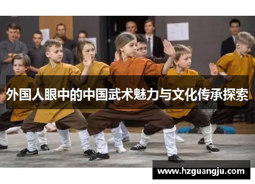 外国人眼中的中国武术魅力与文化传承探索
